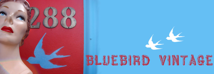 Bluebird Vintage title